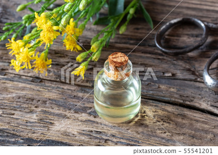 A bottle of essential oil with European goldenrod 55541201