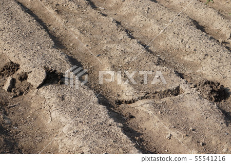 Traces of moles 55541216