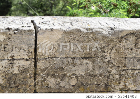 Pond du Girl 55541408