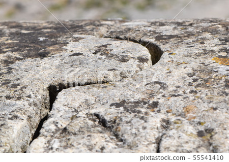 加爾橋石雕 55541410