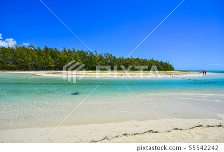Ile aux Cerfs Leisure Island, Mauritius 55542242