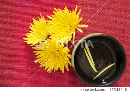 Seasonal image of Shigeo Seasonal image of Shigeo 55542446