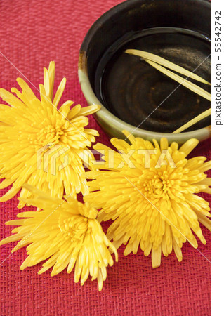 Seasonal image of Shigeo 55542742