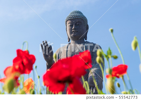Ushiku Daibutsu, the world's largest bronze statue in Ushiku City, Ibaraki Prefecture 55542773