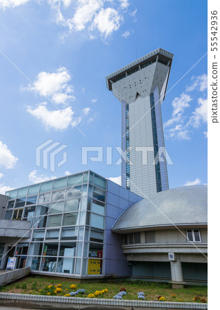 Kasumigaura Fureai Land 55542936