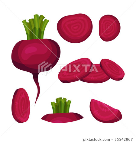 Set of red beets. Vector illustration on white background. 55542967