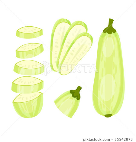Set of fresh zucchini. Vector illustration on white background. Set of fresh zucchini. Vector illustration on white background. 55542973