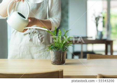 Plant watering 55543200