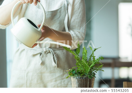Plant watering 55543205