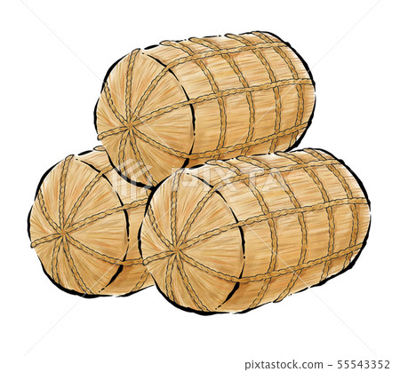 稻田刷觸摸 稻田刷觸摸 55543352