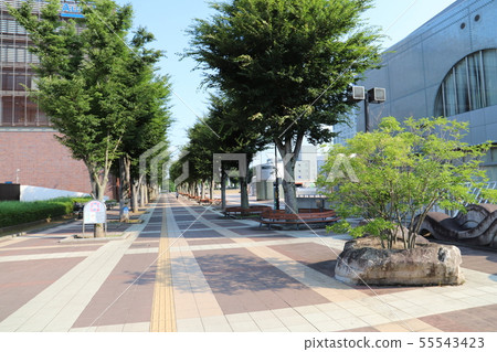 筑波市中心廣場筑波市 55543423
