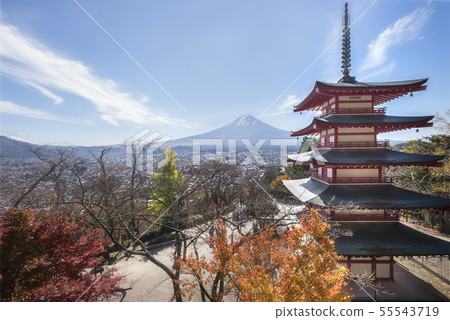 Chureito Pagoda and Mt. Fuji in Autumn. 55543719