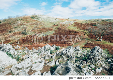 Shinsenyama 55543805