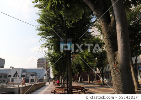 科學城筑波 科學城筑波 55543817