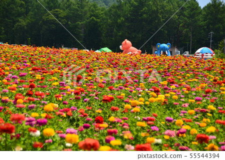 Fujimi Town Highland Resort Hana no Sato 55544394