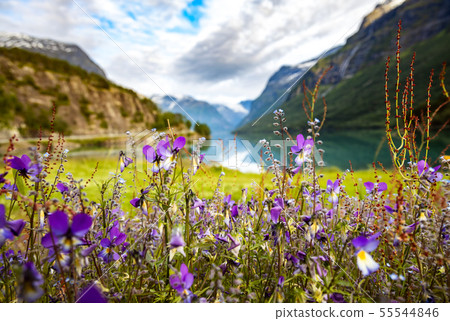 lovatnet lake Beautiful Nature Norway. 55544846