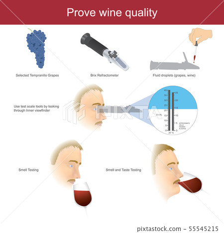 Prove wine quality. Illustration infographic. Prove wine quality. Illustration infographic. 55545215
