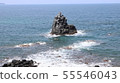 Sakyo nori Ikinoshima 55546043