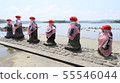 Harahage Jizo Iki Island 55546044