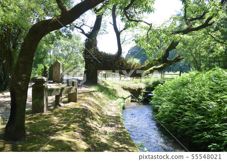 金山大橋和Itaki手瀑布 55548021