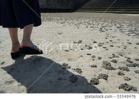 涼鞋和女性（@沖繩海灘） 55548476