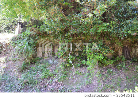 Tenpukuji cliff buddha 55548511