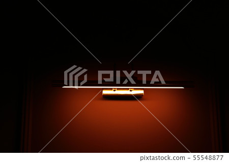 light light 55548877