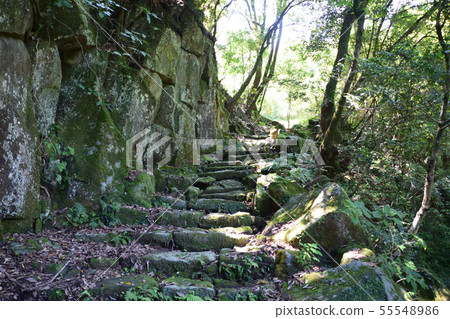 橋山 橋山 55548986
