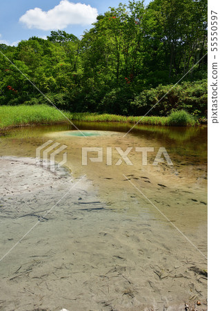Shooting the summer landscape of Niseko Yumoto Onsen Oyunuma in sunny Hokkaido 55550597