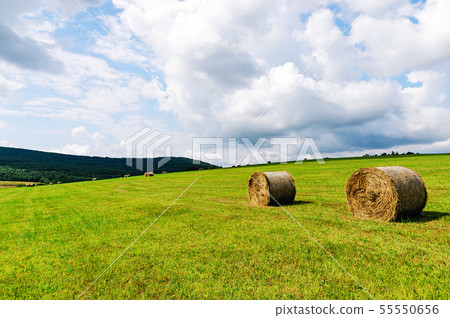 Idyllic agricultural field Idyllic agricultural field 55550656