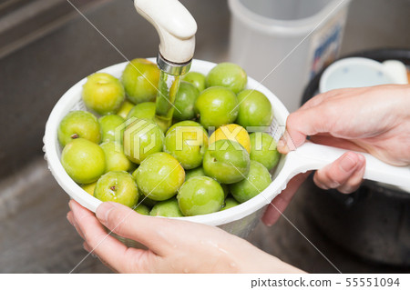 plum	 55551094