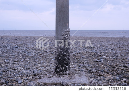 Shells on the horizon and pillars at the coast 55552316