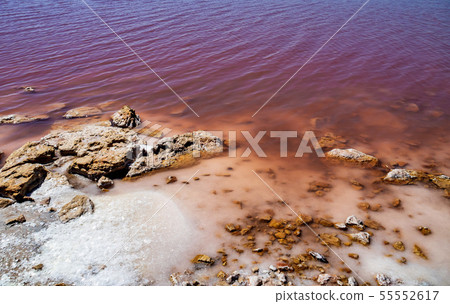 Laguna Salada in Torrevieja, Spain. Pink Salted lake. Salinas Natural Park. 55552617