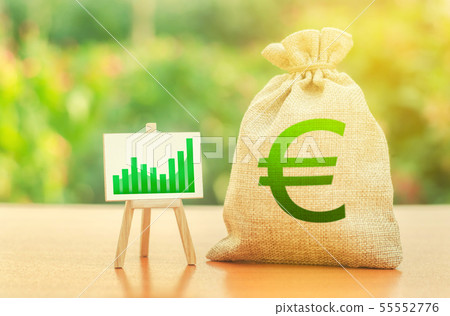 Money bag with Euro symbol Money bag with Euro symbol 55552776