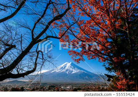 Snow covered Mount Fuji and red maple view from Snow covered Mount Fuji and red maple view from 55553424
