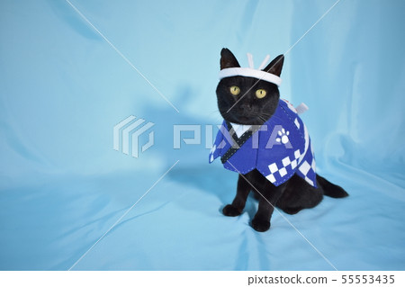 做角色扮演(節日)的黑貓的照片 做角色扮演(節日)的黑貓的照片 55553435