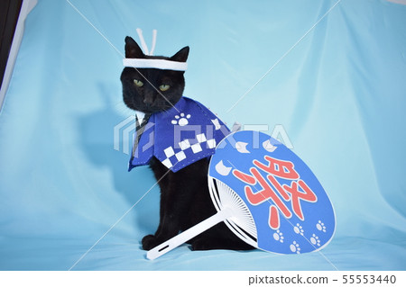 做角色扮演（節日）的黑貓的照片 55553440