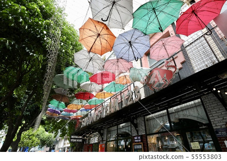 越南·胡志明 55553803