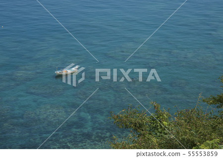 Parent unknown coast 55553859