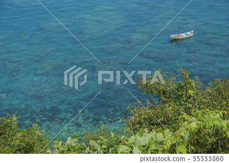 Parent unknown coast 55553860