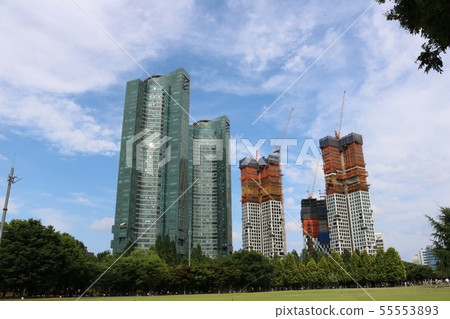 在大廈森林前面的真正的森林 55553893