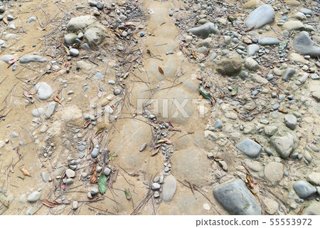 山裡 山の中 山上 森林 Forest 桃園虎頭山 觀光景點 休閒娛樂 55553972