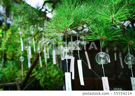 Busan Kannon Furin Busan Kannon Furin 55554214