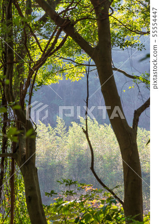 Mountain, mountain, mountain, forest, forest, Taoyuan, Hutou Mountain, sightseeing spots, entertainment 55554447