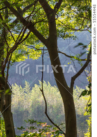 Mountain, mountain, mountain, forest, forest, Taoyuan, Hutou Mountain, sightseeing spots, entertainment 55554448