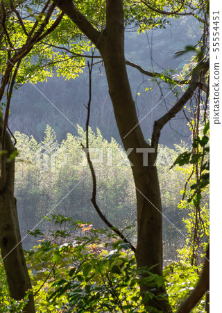 Mountain, mountain, mountain, forest, forest, Taoyuan, Hutou Mountain, sightseeing spots, entertainment Mountain, mountain, mountain, forest, forest, Taoyuan, Hutou Mountain, sightseeing spots, entertainment 55554451