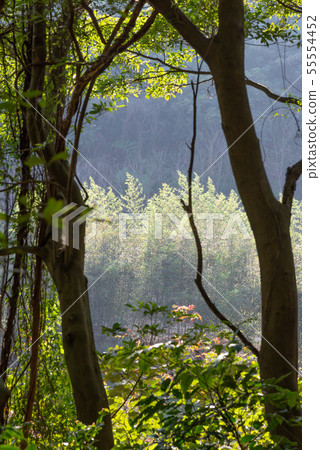 Mountain, mountain, mountain, forest, forest, Taoyuan, Hutou Mountain, sightseeing spots, entertainment Mountain, mountain, mountain, forest, forest, Taoyuan, Hutou Mountain, sightseeing spots, entertainment 55554452
