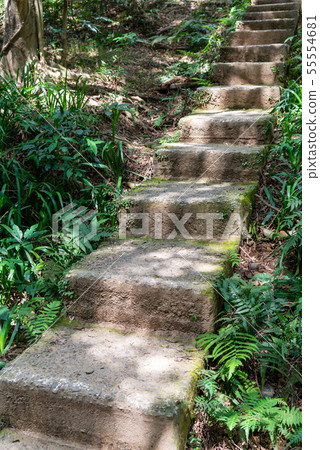 Mountain, mountain, mountain, forest, forest, Taoyuan, Hutou Mountain, sightseeing spots, entertainment 55554681