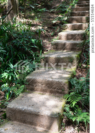 Mountain, mountain, mountain, forest, forest, Taoyuan, Hutou Mountain, sightseeing spots, entertainment Mountain, mountain, mountain, forest, forest, Taoyuan, Hutou Mountain, sightseeing spots, entertainment 55554684