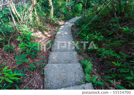 Mountain, mountain, mountain, forest, forest, Taoyuan, Hutou Mountain, sightseeing spots, entertainment 55554700